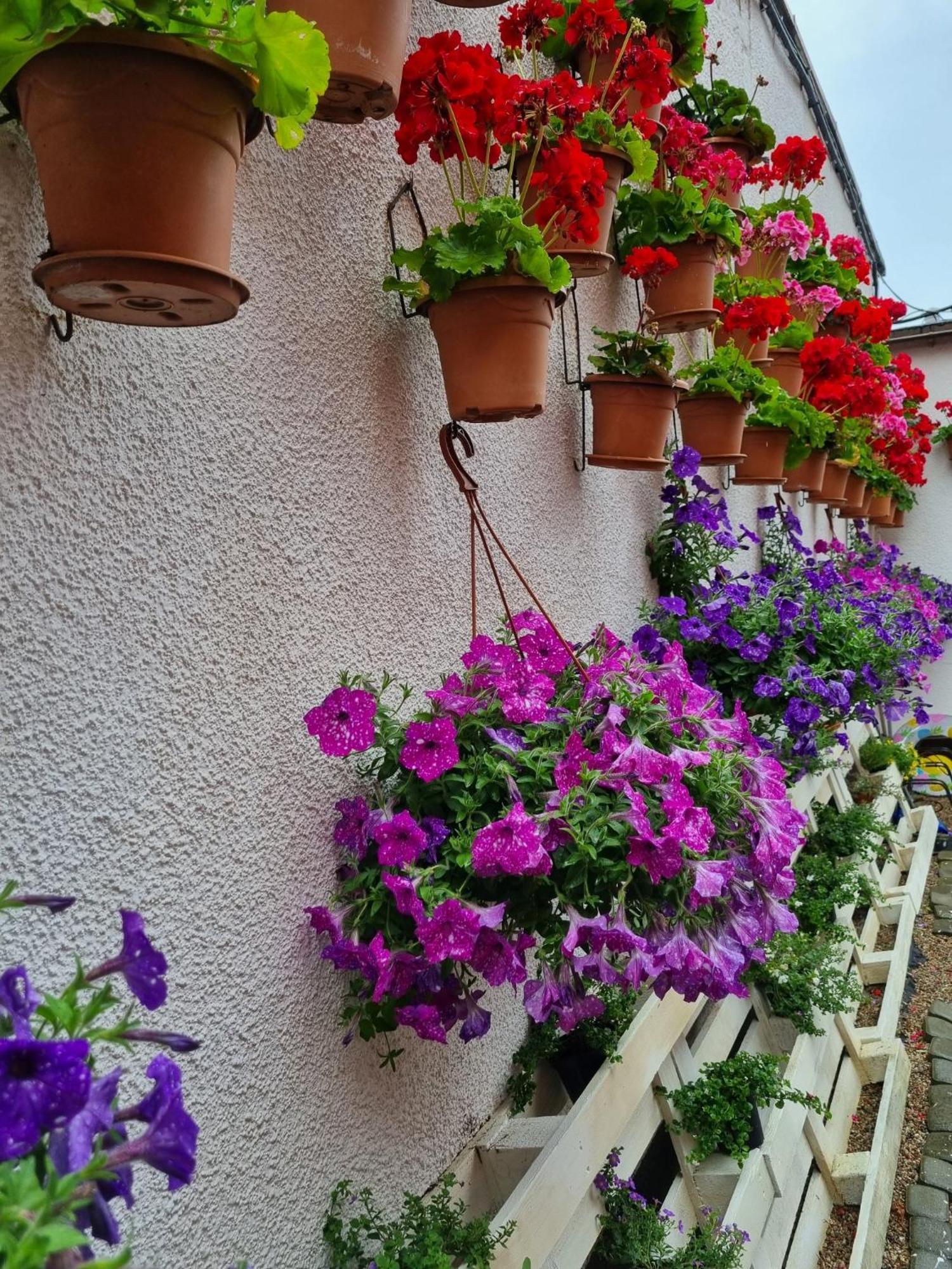 Gościnny Dom Kaola Rewal Zewnętrze zdjęcie